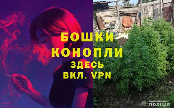 ешки Абинск