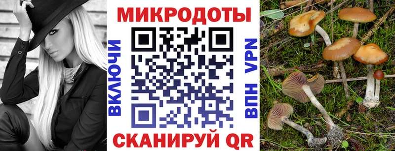 купить   Иноземцево  Галлюциногенные грибы ЛСД 